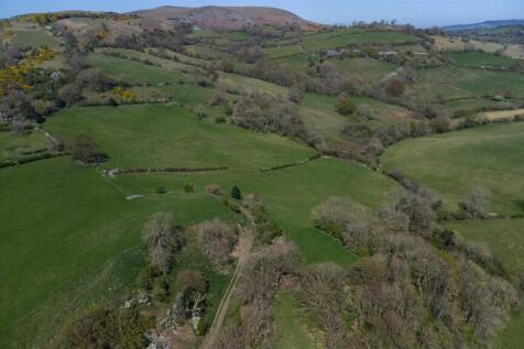 DJI_0724.jpg