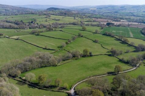 DJI_0721.jpg