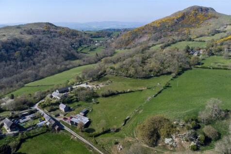 DJI_0729.jpg