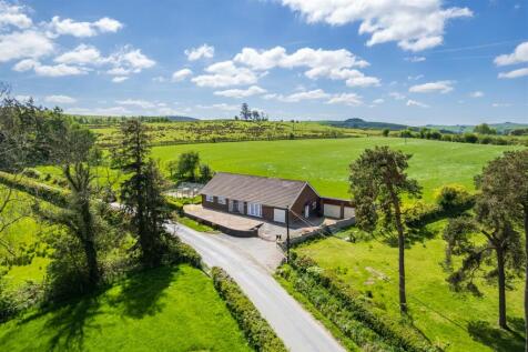 DJI_0278.jpg
