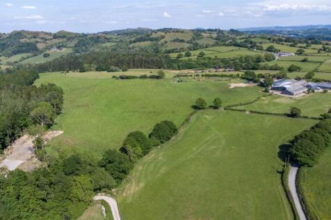 DJI_0006.jpg