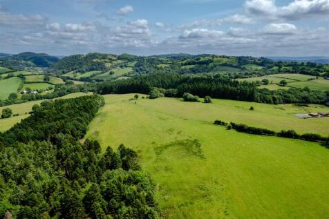 DJI_0322.jpg