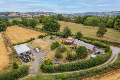 DJI_0234.jpg