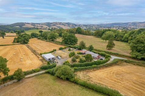 DJI_0236.jpg