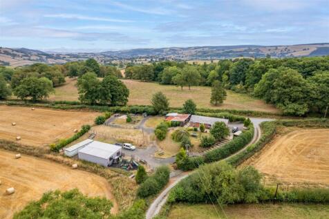 DJI_0250.jpg