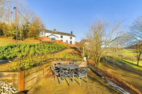 shadow removed raised beds .jpg