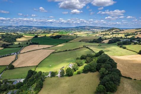 DJI_0143.jpg