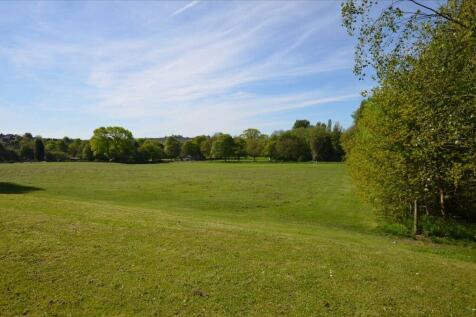 LOCAL PARK VIEW