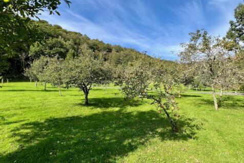 Orchards