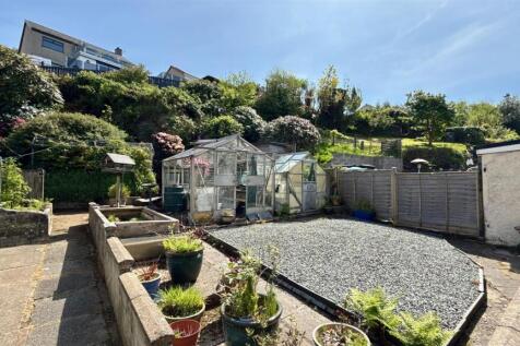 back garden