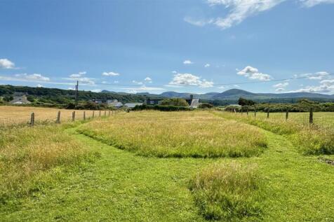 rear paddock