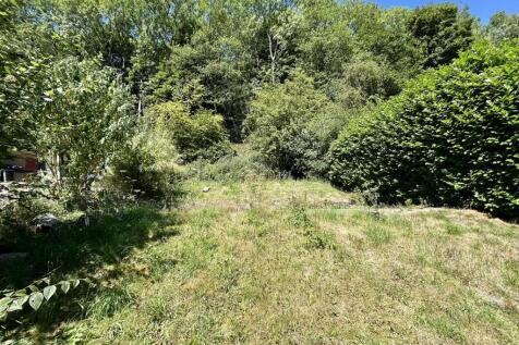 Garden (1).JPEG