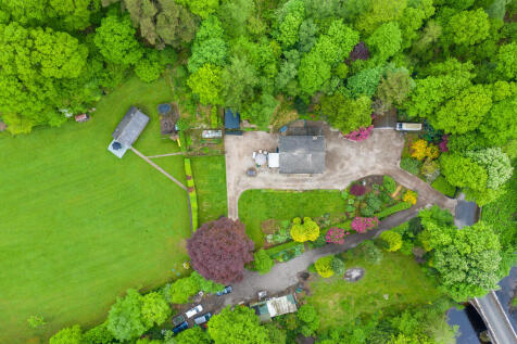Lyne View