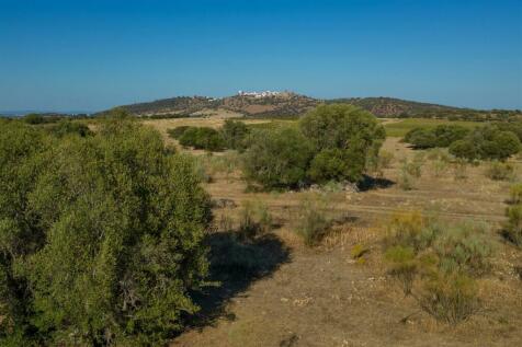 2 Plots, Barrocal, Monsaraz, Évora, Alentejo