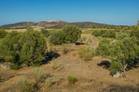 2 Plots, Barrocal, Monsaraz, Évora, Alentejo