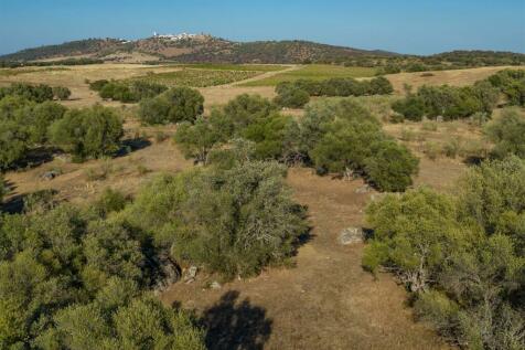 2 Plots, Barrocal, Monsaraz, Évora, Alentejo