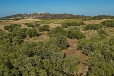 2 Plots, Barrocal, Monsaraz, Évora, Alentejo