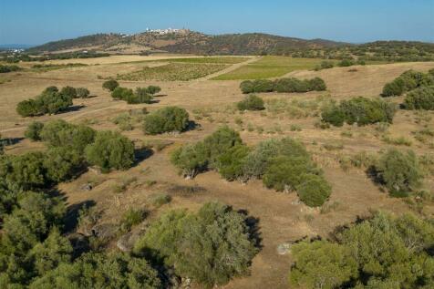 2 Plots, Barrocal, Monsaraz, Évora, Alentejo