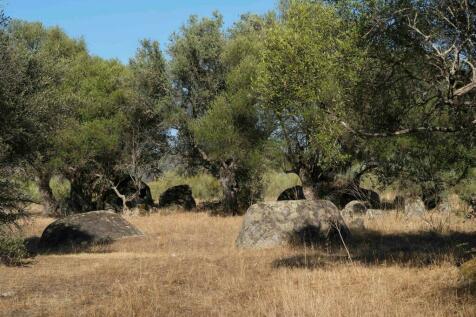 2 Plots, Barrocal, Monsaraz, Évora, Alentejo