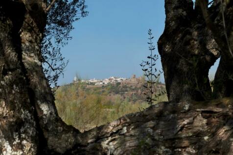 2 Plots, Barrocal, Monsaraz, Évora, Alentejo