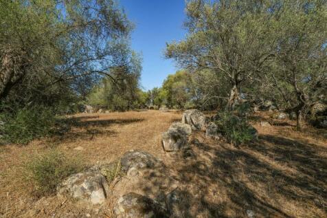 2 Plots, Barrocal, Monsaraz, Évora, Alentejo