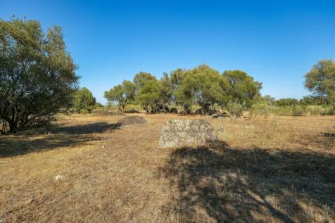 2 Plots, Barrocal, Monsaraz, Évora, Alentejo