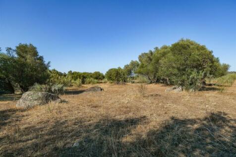 2 Plots, Barrocal, Monsaraz, Évora, Alentejo