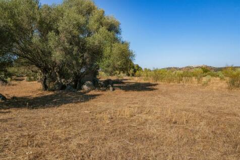 2 Plots, Barrocal, Monsaraz, Évora, Alentejo