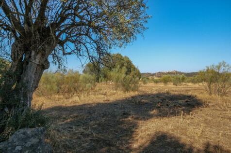 2 Plots, Barrocal, Monsaraz, Évora, Alentejo