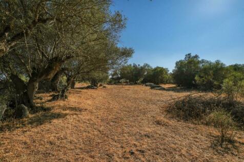 2 Plots, Barrocal, Monsaraz, Évora, Alentejo