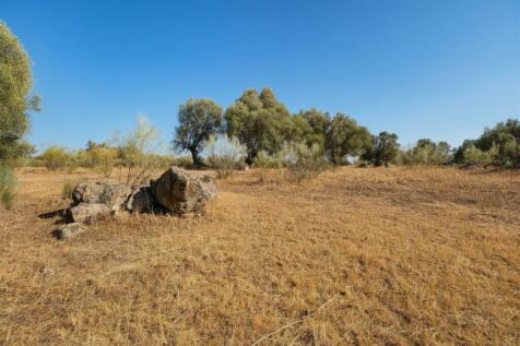 2 Plots, Barrocal, Monsaraz, Évora, Alentejo