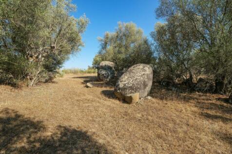 2 Plots, Barrocal, Monsaraz, Évora, Alentejo