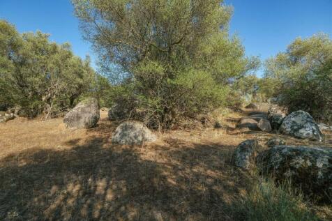 2 Plots, Barrocal, Monsaraz, Évora, Alentejo