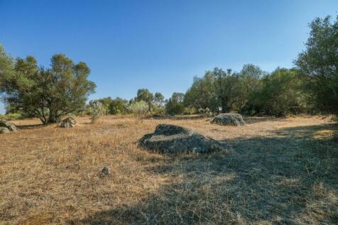 2 Plots, Barrocal, Monsaraz, Évora, Alentejo