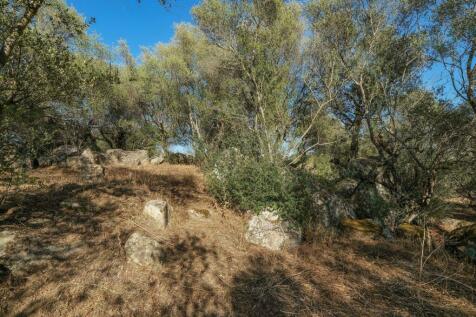 2 Plots, Barrocal, Monsaraz, Évora, Alentejo