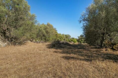 2 Plots, Barrocal, Monsaraz, Évora, Alentejo