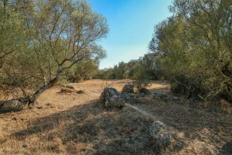 2 Plots, Barrocal, Monsaraz, Évora, Alentejo