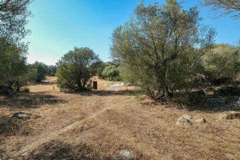 2 Plots, Barrocal, Monsaraz, Évora, Alentejo