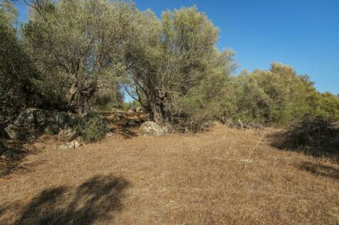 2 Plots, Barrocal, Monsaraz, Évora, Alentejo