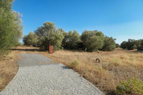 2 Plots, Barrocal, Monsaraz, Évora, Alentejo