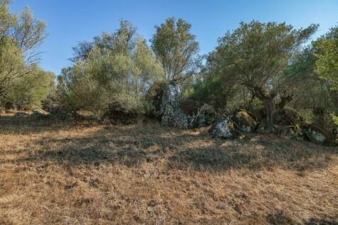 2 Plots, Barrocal, Monsaraz, Évora, Alentejo