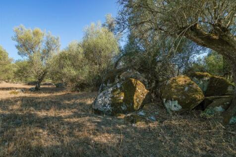 2 Plots, Barrocal, Monsaraz, Évora, Alentejo