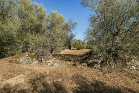 2 Plots, Barrocal, Monsaraz, Évora, Alentejo