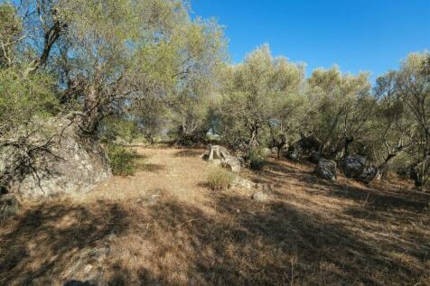 2 Plots, Barrocal, Monsaraz, Évora, Alentejo