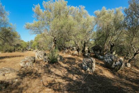 2 Plots, Barrocal, Monsaraz, Évora, Alentejo