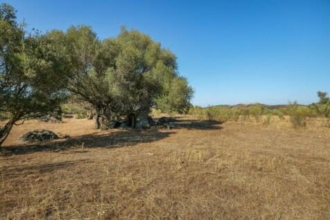 2 Plots, Barrocal, Monsaraz, Évora, Alentejo