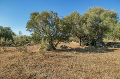 2 Plots, Barrocal, Monsaraz, Évora, Alentejo