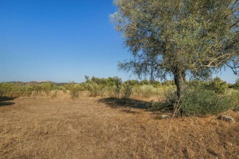 2 Plots, Barrocal, Monsaraz, Évora, Alentejo