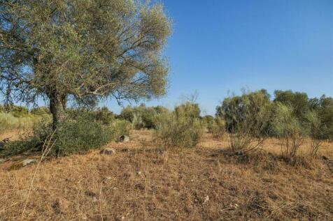 2 Plots, Barrocal, Monsaraz, Évora, Alentejo