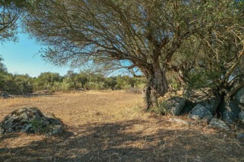 2 Plots, Barrocal, Monsaraz, Évora, Alentejo